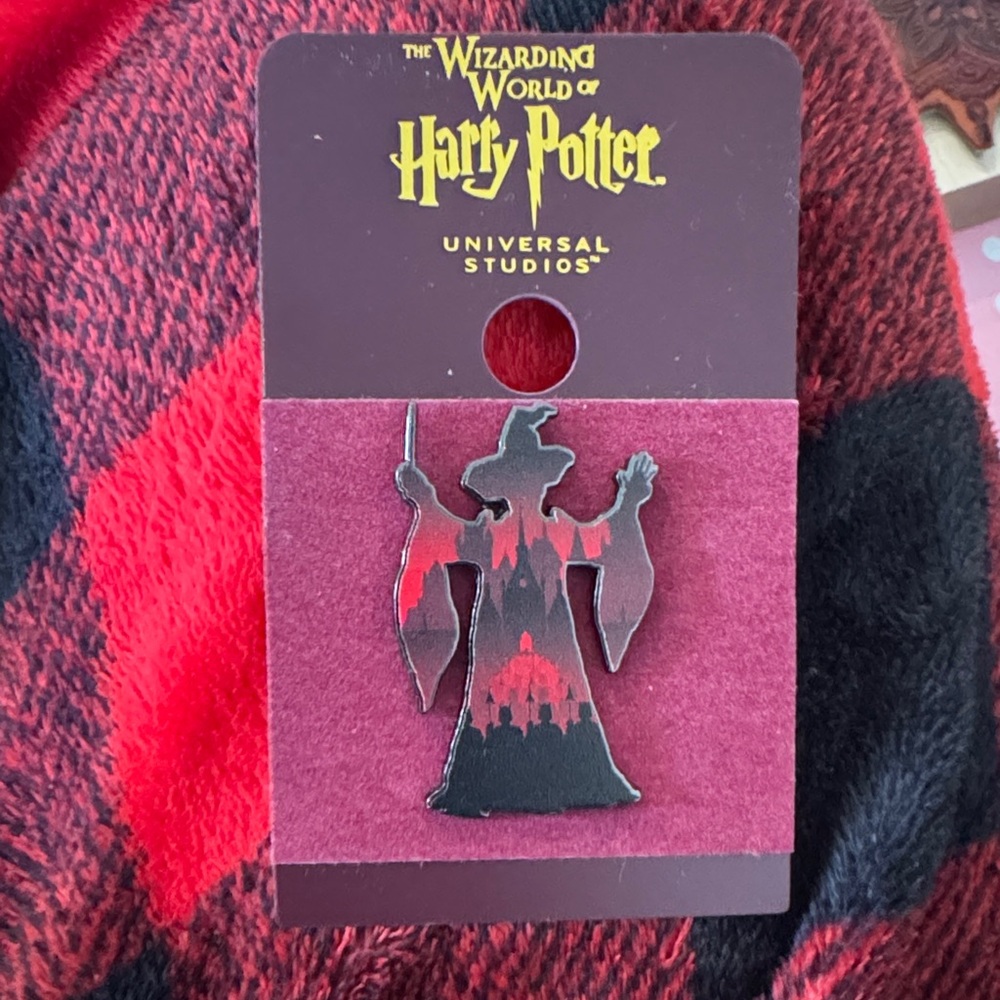 Harry Potter Universal Studios Wizard Pin